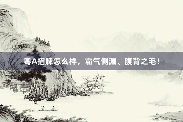 粤A招牌怎么样，霸气侧漏、腹背之毛！
